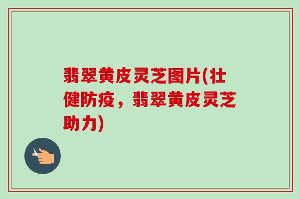 翡翠黄皮灵芝图片(壮健防疫,翡翠黄皮灵芝助力) 翡翠黄皮灵芝图片(壮健防疫,翡翠黄皮灵芝助力)