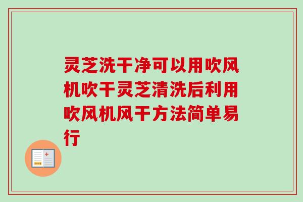 灵芝洗干净可以用吹风机吹干灵芝清洗后利用吹风机风干方法简单易行