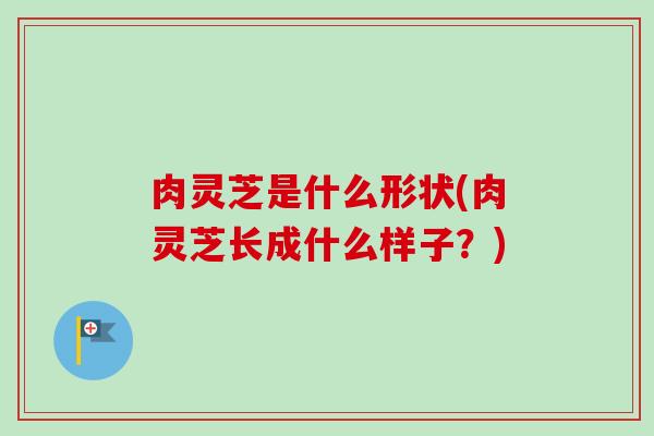 肉灵芝是什么形状(肉灵芝长成什么样子?) 肉灵芝是什么形状(肉灵芝长成什么样子?)