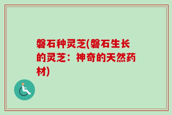 磐石种灵芝(磐石生长的灵芝:神奇的天然药材) 磐石种灵芝(磐石生长的灵芝:神奇的天然药材)