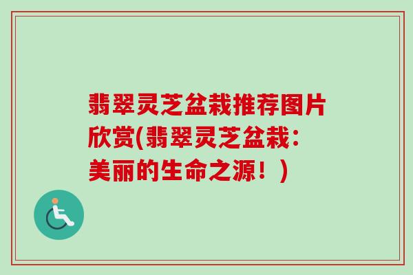 翡翠灵芝盆栽推荐图片欣赏(翡翠灵芝盆栽:美丽的生命之源!) 翡翠灵芝盆栽推荐图片欣赏(翡翠灵芝盆栽:美丽的生命之源!)