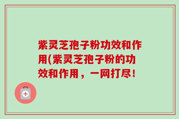 紫灵芝孢子粉功效和作用(紫灵芝孢子粉的功效和作用,一网打尽! 紫灵芝孢子粉功效和作用(紫灵芝孢子粉的功效和作用,一网打尽!