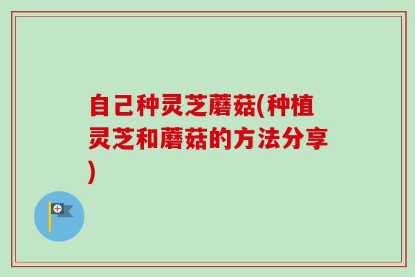 自己种灵芝蘑菇(种植灵芝和蘑菇的方法分享)