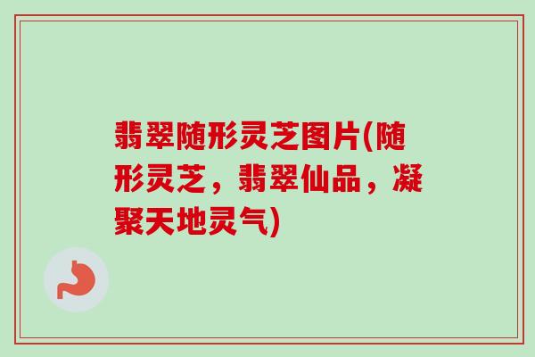 翡翠随形灵芝图片(随形灵芝,翡翠仙品,凝聚天地灵气) 翡翠随形灵芝图片(随形灵芝,翡翠仙品,凝聚天地灵气)