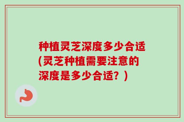 种植灵芝深度多少合适(灵芝种植需要注意的深度是多少合适?) 种植灵芝深度多少合适(灵芝种植需要注意的深度是多少合适?)