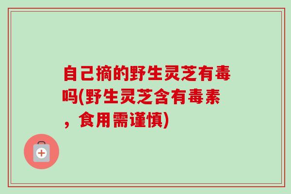 自己摘的野生灵芝有毒吗(野生灵芝含有毒素,食用需谨慎) 自己摘的野生灵芝有毒吗(野生灵芝含有毒素,食用需谨慎)