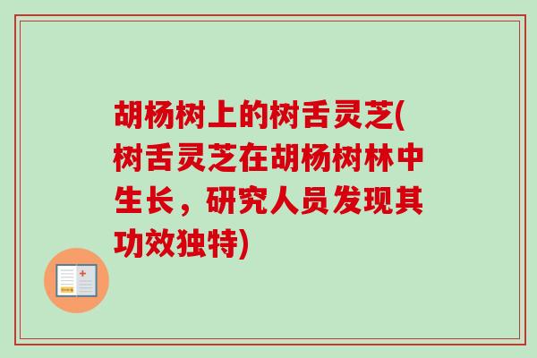 胡杨树上的树舌灵芝(树舌灵芝在胡杨树林中生长,研究人员发现其功效独特) 胡杨树上的树舌灵芝(树舌灵芝在胡杨树林中生长,研究人员发现其功效独特)