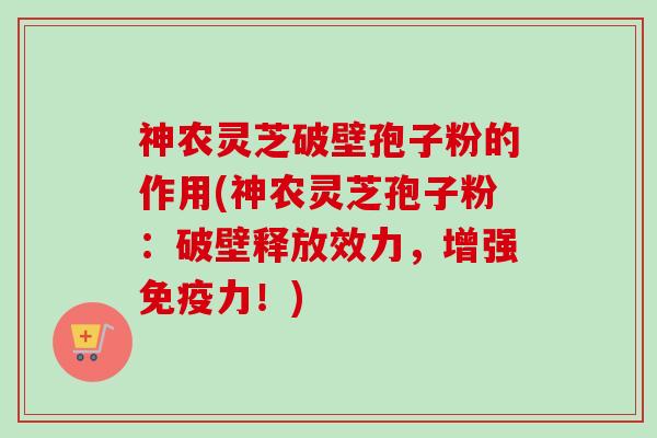 神农灵芝破壁孢子粉的作用(神农灵芝孢子粉:破壁释放效力,增强免疫力!) 神农灵芝破壁孢子粉的作用(神农灵芝孢子粉:破壁释放效力,增强免疫力!)