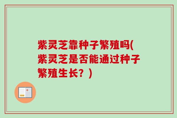 紫灵芝靠种子繁殖吗(紫灵芝是否能通过种子繁殖生长？)