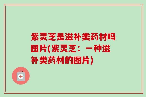 紫灵芝是滋补类药材吗图片(紫灵芝:一种滋补类药材的图片) 紫灵芝是滋补类药材吗图片(紫灵芝:一种滋补类药材的图片)