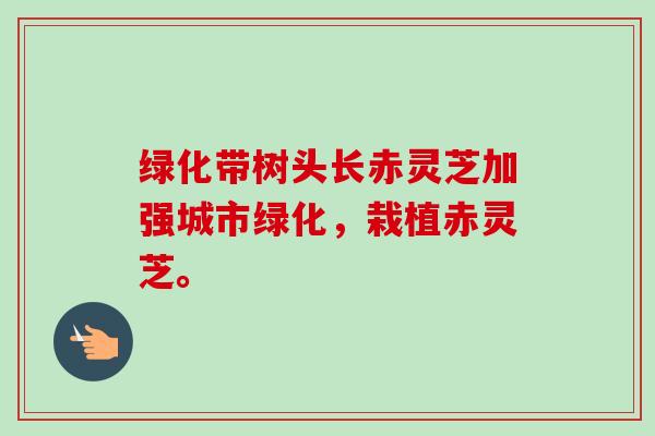 绿化带树头长赤灵芝加强城市绿化,栽植赤灵芝。 绿化带树头长赤灵芝加强城市绿化,栽植赤灵芝。