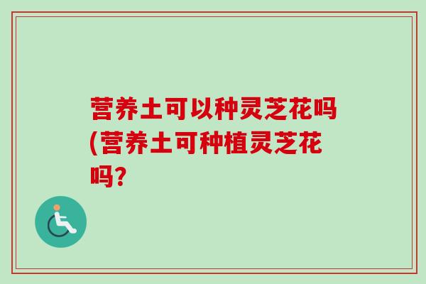 营养土可以种灵芝花吗(营养土可种植灵芝花吗? 营养土可以种灵芝花吗(营养土可种植灵芝花吗?