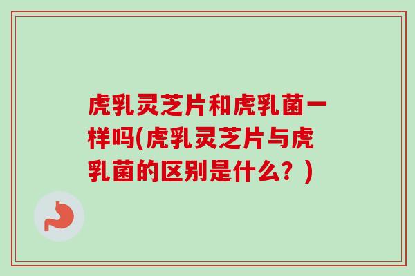 虎乳灵芝片和虎乳菌一样吗(虎乳灵芝片与虎乳菌的区别是什么?) 虎乳灵芝片和虎乳菌一样吗(虎乳灵芝片与虎乳菌的区别是什么?)