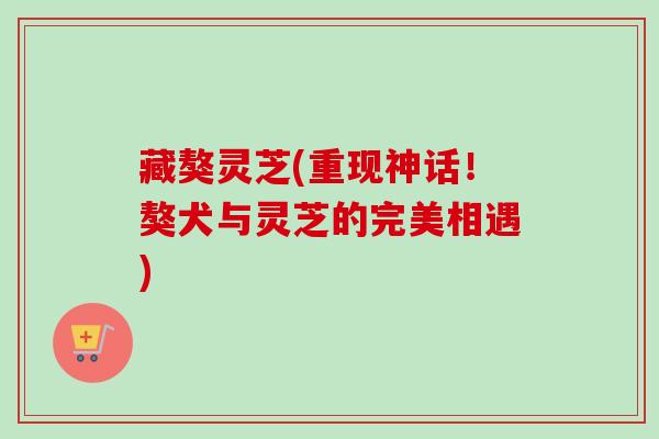 藏獒灵芝(重现神话!獒犬与灵芝的完美相遇) 藏獒灵芝(重现神话!獒犬与灵芝的完美相遇)