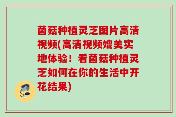 菌菇种植灵芝图片高清视频(高清视频媲美实地体验!看菌菇种植灵芝如何在你的生活中开花结果) 菌菇种植灵芝图片高清视频(高清视频媲美实地体验!看菌菇种植灵芝如何在你的生活中开花结果)