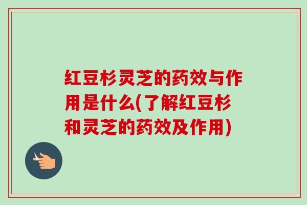 红豆杉灵芝的与作用是什么(了解红豆杉和灵芝的及作用) 红豆杉灵芝的与作用是什么(了解红豆杉和灵芝的及作用)