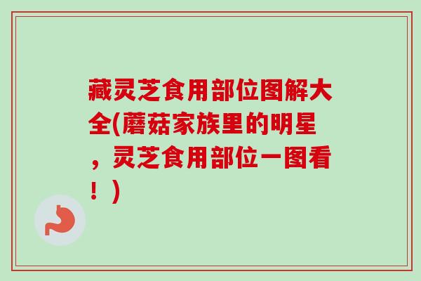 藏灵芝食用部位图解大全(蘑菇家族里的明星,灵芝食用部位一图看!) 藏灵芝食用部位图解大全(蘑菇家族里的明星,灵芝食用部位一图看!)