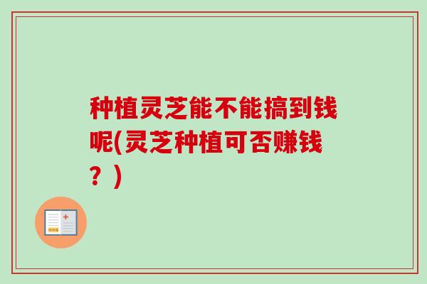 种植灵芝能不能搞到钱呢(灵芝种植可否赚钱?) 种植灵芝能不能搞到钱呢(灵芝种植可否赚钱?)