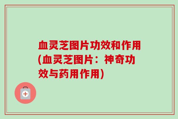 灵芝图片功效和作用(灵芝图片:神奇功效与药用作用) 灵芝图片功效和作用(灵芝图片:神奇功效与药用作用)