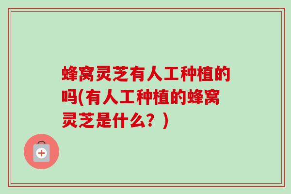 蜂窝灵芝有人工种植的吗(有人工种植的蜂窝灵芝是什么?) 蜂窝灵芝有人工种植的吗(有人工种植的蜂窝灵芝是什么?)