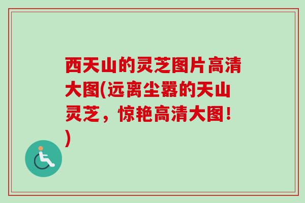 西天山的灵芝图片高清大图(远离尘嚣的天山灵芝,惊艳高清大图!) 西天山的灵芝图片高清大图(远离尘嚣的天山灵芝,惊艳高清大图!)