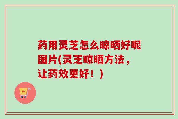 药用灵芝怎么晾晒好呢图片(灵芝晾晒方法,让更好!) 药用灵芝怎么晾晒好呢图片(灵芝晾晒方法,让更好!)