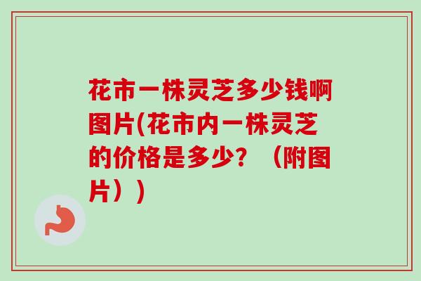 花市一株灵芝多少钱啊图片(花市内一株灵芝的价格是多少?(附图片)) 花市一株灵芝多少钱啊图片(花市内一株灵芝的价格是多少?(附图片))