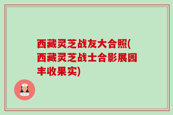 西藏灵芝战友大合照(西藏灵芝战士合影展园丰收果实) 西藏灵芝战友大合照(西藏灵芝战士合影展园丰收果实)