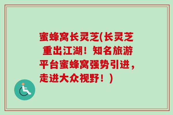 蜜蜂窝长灵芝(长灵芝 重出江湖！知名旅游平台蜜蜂窝强势引进，走进大众视野！)
