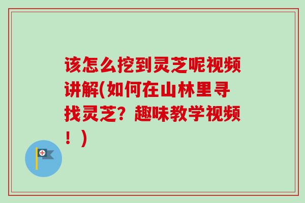 该怎么挖到灵芝呢视频讲解(如何在山林里寻找灵芝?趣味教学视频!) 该怎么挖到灵芝呢视频讲解(如何在山林里寻找灵芝?趣味教学视频!)