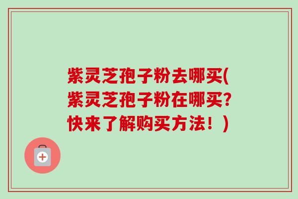 紫灵芝孢子粉去哪买(紫灵芝孢子粉在哪买？快来了解购买方法！)