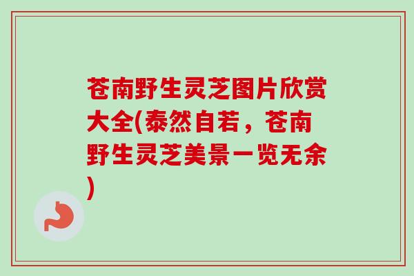 苍南野生灵芝图片欣赏大全(泰然自若,苍南野生灵芝美景一览无余) 苍南野生灵芝图片欣赏大全(泰然自若,苍南野生灵芝美景一览无余)