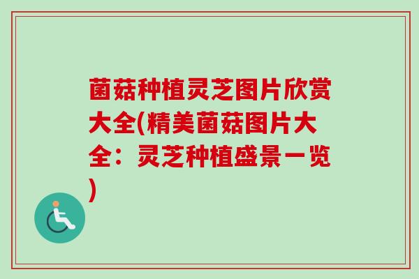 菌菇种植灵芝图片欣赏大全(精美菌菇图片大全:灵芝种植盛景一览) 菌菇种植灵芝图片欣赏大全(精美菌菇图片大全:灵芝种植盛景一览)