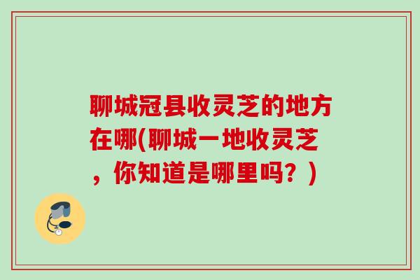 聊城冠县收灵芝的地方在哪(聊城一地收灵芝,你知道是哪里吗?) 聊城冠县收灵芝的地方在哪(聊城一地收灵芝,你知道是哪里吗?)