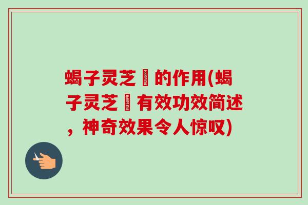 蝎子灵芝氿的作用(蝎子灵芝氿有效功效简述,神奇效果令人惊叹) 蝎子灵芝氿的作用(蝎子灵芝氿有效功效简述,神奇效果令人惊叹)