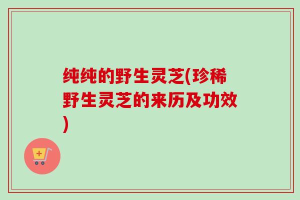 纯纯的野生灵芝(珍稀野生灵芝的来历及功效) 纯纯的野生灵芝(珍稀野生灵芝的来历及功效)