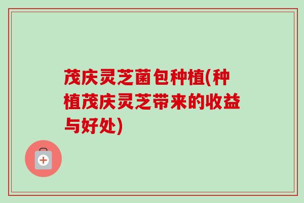 茂庆灵芝菌包种植(种植茂庆灵芝带来的收益与好处) 茂庆灵芝菌包种植(种植茂庆灵芝带来的收益与好处)