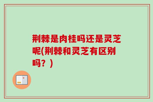 荆棘是肉桂吗还是灵芝呢(荆棘和灵芝有区别吗?) 荆棘是肉桂吗还是灵芝呢(荆棘和灵芝有区别吗?)
