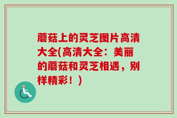 蘑菇上的灵芝图片高清大全(高清大全：美丽的蘑菇和灵芝相遇，别样精彩！)