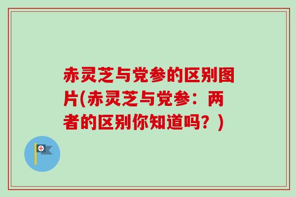 赤灵芝与党参的区别图片(赤灵芝与党参:两者的区别你知道吗?) 赤灵芝与党参的区别图片(赤灵芝与党参:两者的区别你知道吗?)