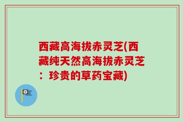 西藏高海拔赤灵芝(西藏纯天然高海拔赤灵芝:珍贵的草药宝藏) 西藏高海拔赤灵芝(西藏纯天然高海拔赤灵芝:珍贵的草药宝藏)