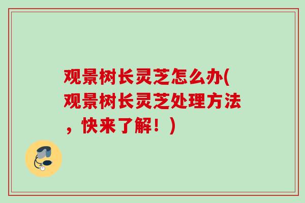 观景树长灵芝怎么办(观景树长灵芝处理方法,快来了解!) 观景树长灵芝怎么办(观景树长灵芝处理方法,快来了解!)
