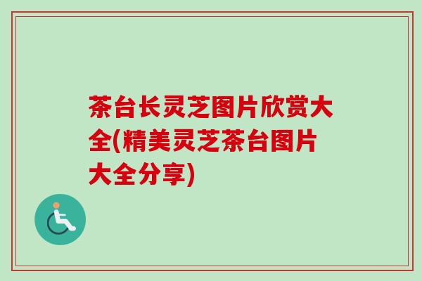 茶台长灵芝图片欣赏大全(精美灵芝茶台图片大全分享) 茶台长灵芝图片欣赏大全(精美灵芝茶台图片大全分享)