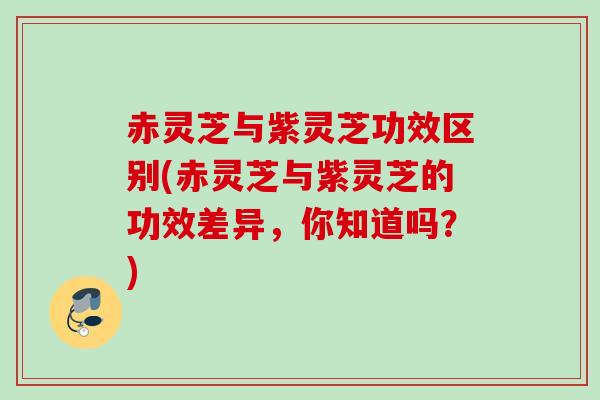 赤灵芝与紫灵芝功效区别(赤灵芝与紫灵芝的功效差异,你知道吗?) 赤灵芝与紫灵芝功效区别(赤灵芝与紫灵芝的功效差异,你知道吗?)