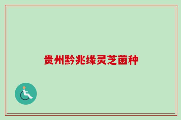 贵州黔兆缘灵芝菌种 贵州黔兆缘灵芝菌种