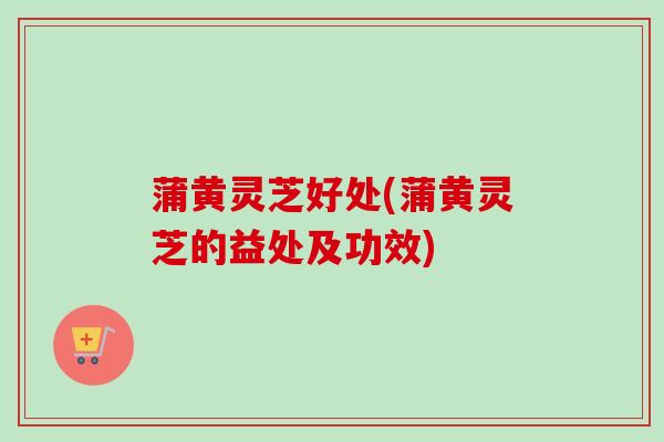 蒲黄灵芝好处(蒲黄灵芝的益处及功效) 蒲黄灵芝好处(蒲黄灵芝的益处及功效)