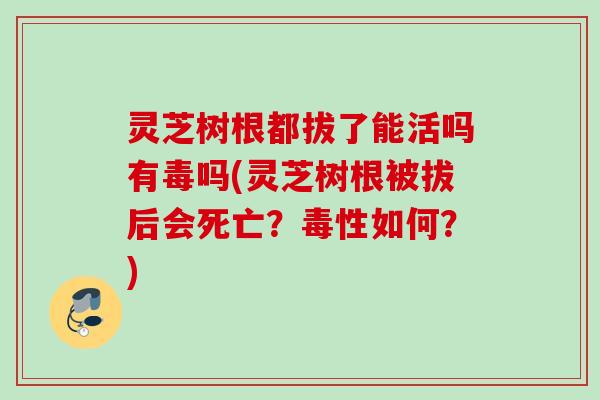 灵芝树根都拔了能活吗有毒吗(灵芝树根被拔后会死亡？毒性如何？)
