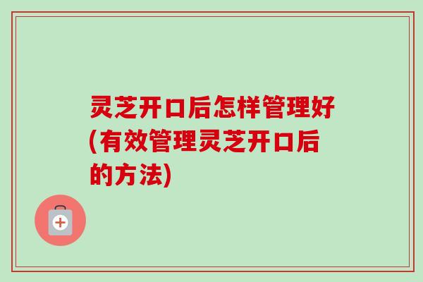灵芝开口后怎样管理好(有效管理灵芝开口后的方法) 灵芝开口后怎样管理好(有效管理灵芝开口后的方法)