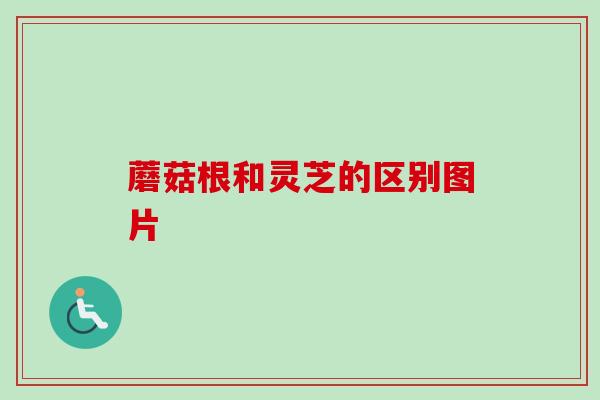 蘑菇根和灵芝的区别图片