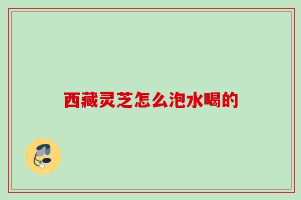 西藏灵芝怎么泡水喝的